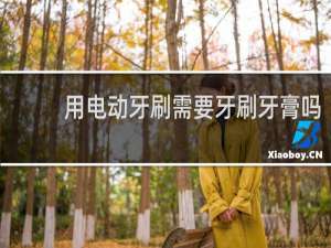 用电动牙刷需要牙刷牙膏吗
