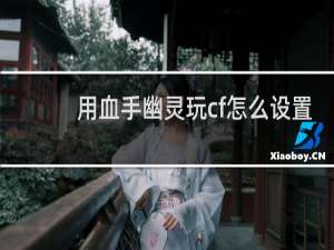 用血手幽灵玩cf怎么设置
