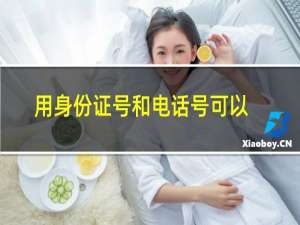 用身份证号和电话号可以网贷吗