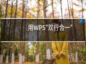 用WPS\