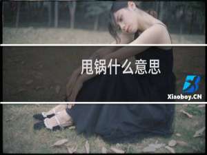 甩锅什么意思，什么叫甩锅行为什么梗