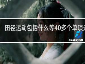 田径运动包括什么等40多个单项运动