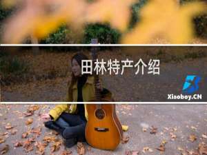 田林特产介绍（百色田林特产大全）