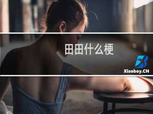 田田什么梗