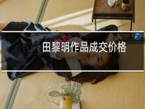 田黎明作品成交价格