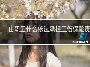 由职工什么依法承担工伤保险责任