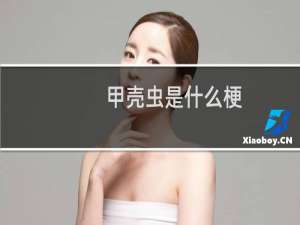 甲壳虫是什么梗