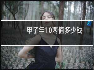 甲子年10两值多少钱