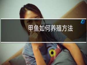 甲鱼如何养殖方法