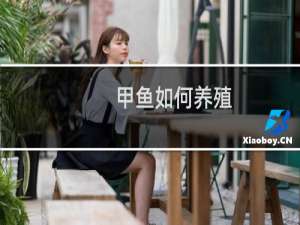 甲鱼如何养殖