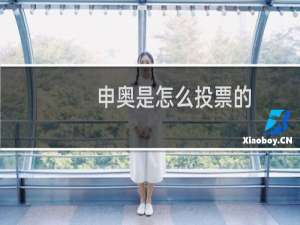 申奥是怎么投票的