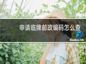 申请临牌邮政编码怎么查询