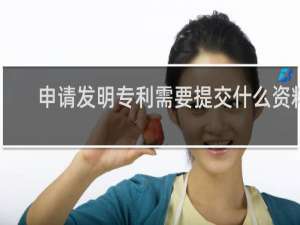 申请发明专利需要提交什么资料