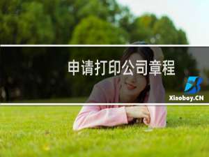 申请打印公司章程