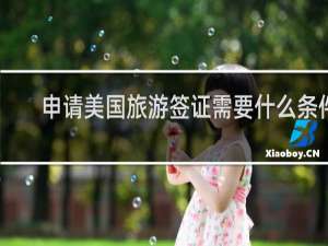 申请美国旅游签证需要什么条件