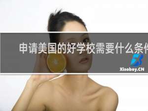 申请美国的好学校需要什么条件
