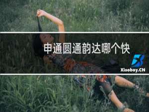 申通圆通韵达哪个快