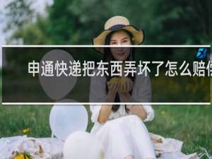 申通快递把东西弄坏了怎么赔偿