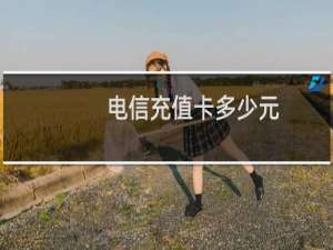 电信充值卡多少元