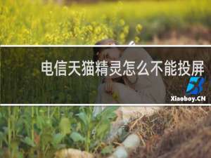 电信天猫精灵怎么不能投屏