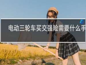 电动三轮车买交强险需要什么手续