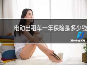 电动出租车一年保险是多少钱