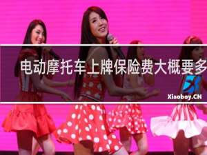 电动摩托车上牌保险费大概要多少