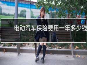 电动汽车保险费用一年多少钱