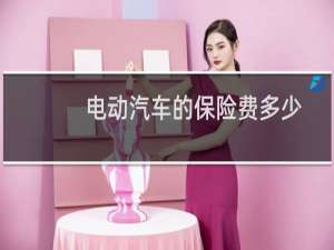 电动汽车的保险费多少