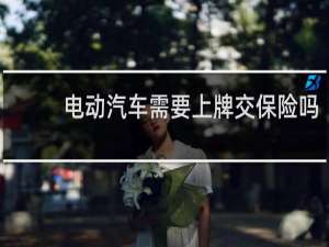 电动汽车需要上牌交保险吗