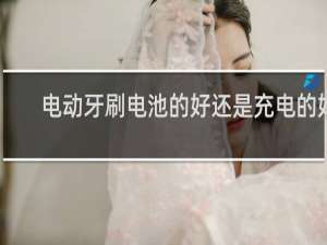 电动牙刷电池的好还是充电的好