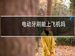 电动牙刷能上飞机吗