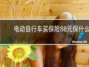 电动自行车买保险88元保什么