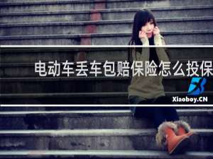 电动车丢车包赔保险怎么投保