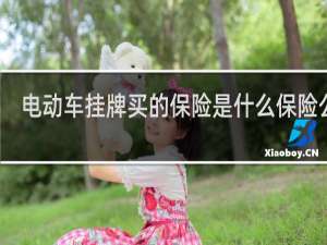 电动车挂牌买的保险是什么保险公司