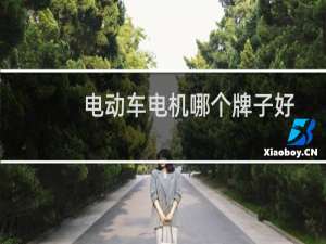 电动车电机哪个牌子好