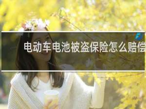 电动车电池被盗保险怎么赔偿