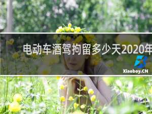 电动车酒驾拘留多少天2020年