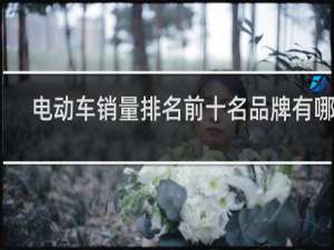 电动车销量排名前十名品牌有哪些