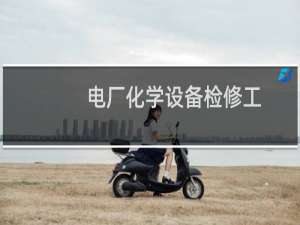 电厂化学设备检修工