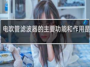 电吹管滤波器的主要功能和作用是什么