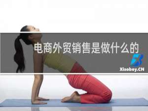 电商外贸销售是做什么的