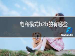 电商模式b2b的有哪些