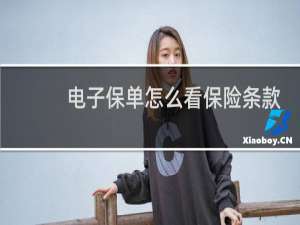 电子保单怎么看保险条款