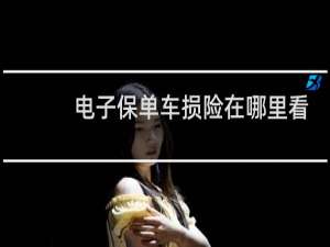 电子保单车损险在哪里看
