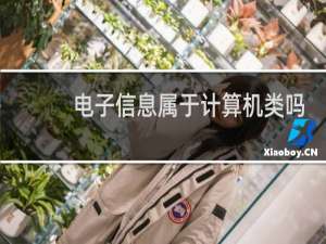 电子信息属于计算机类吗