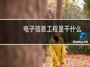 电子信息工程是干什么