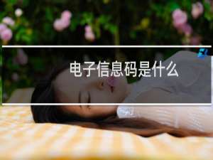 电子信息码是什么