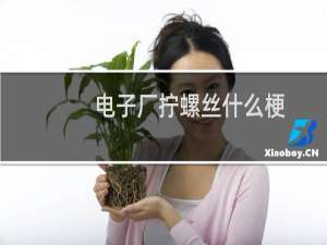 电子厂拧螺丝什么梗