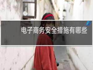 电子商务安全措施有哪些